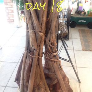I AM GROOT 