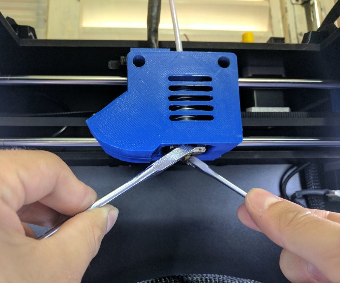 [MOUSTA-B/BM] Remoção De Bico