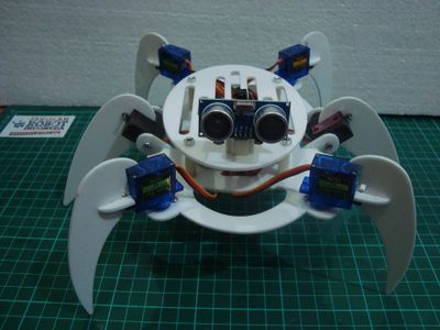 The Other Robot Project Using Acrilyc Frame