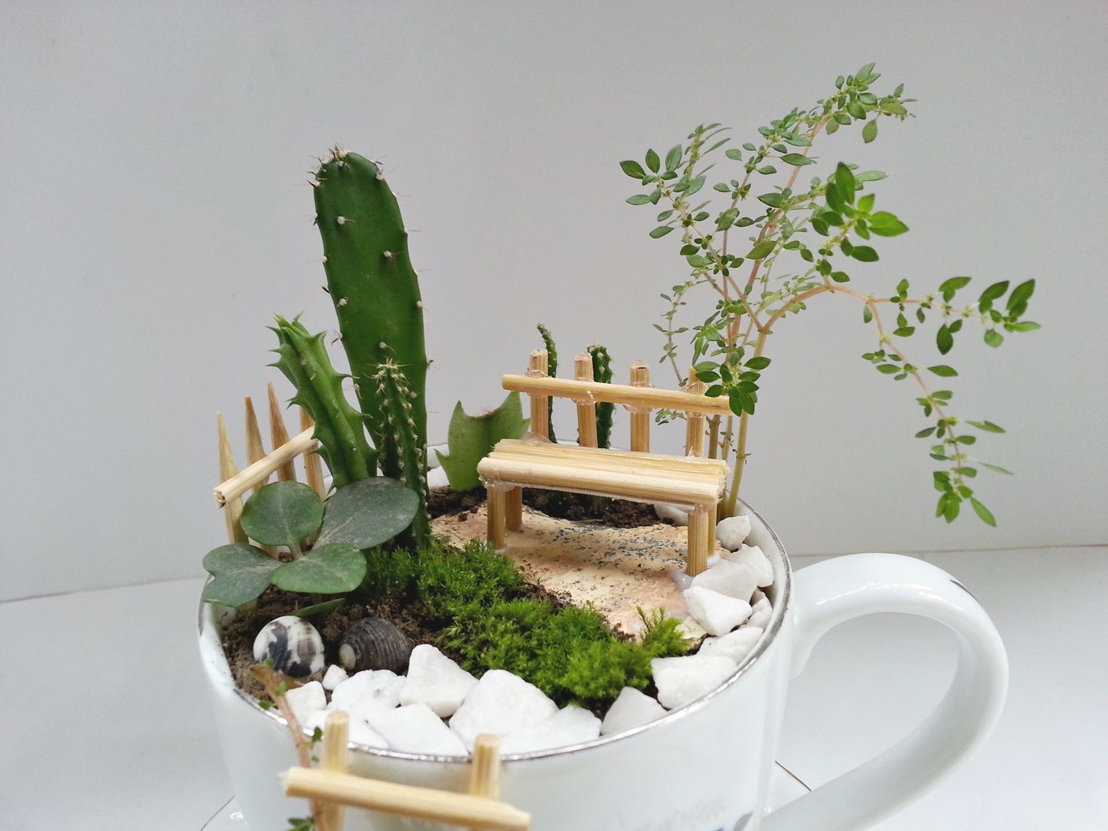 DIY Cup Garden : 9 Steps (with Pictures) - Instructables