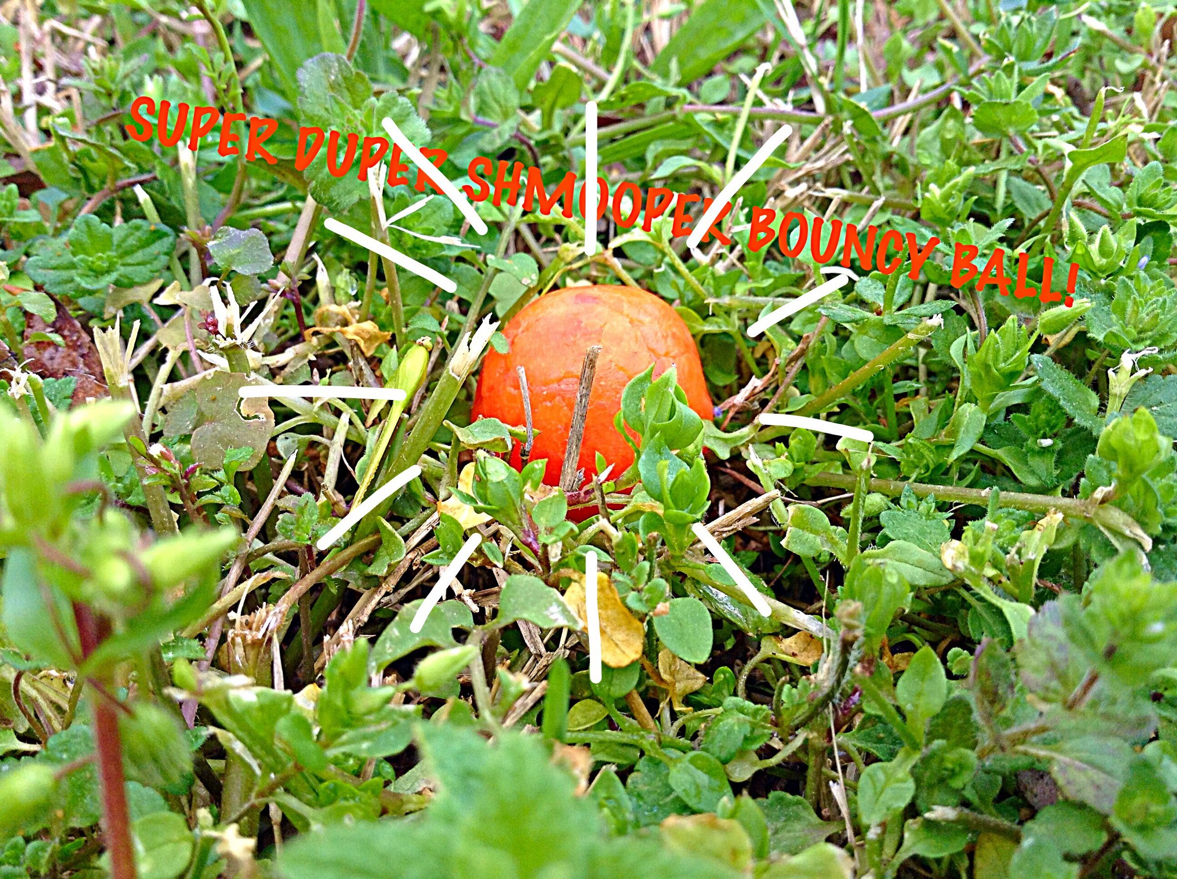 Super Duper Shmooper Bouncy Ball!