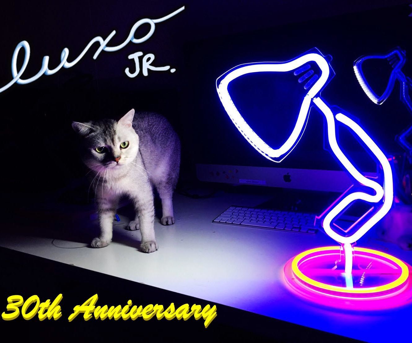 ​Junior's Time To Shine