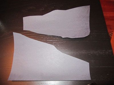 Bad Wolf Carboard Custom