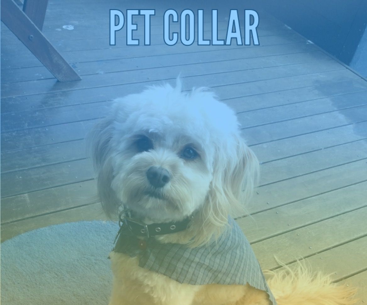 Pets Collar Attatchments