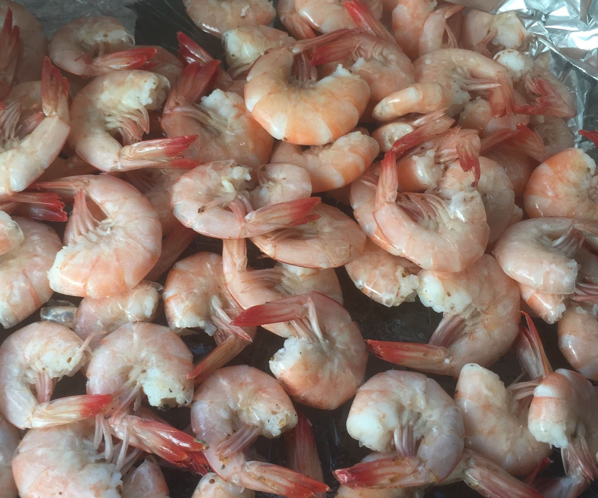 Catching Fruit of the Sea