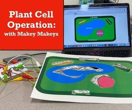 Plant Cell Operation With Makey Makey
