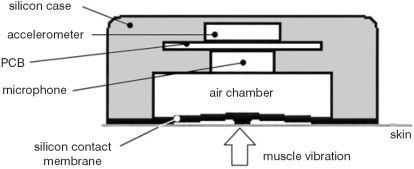 Measure Muscle Sounds! Part 1: Electronic Board
