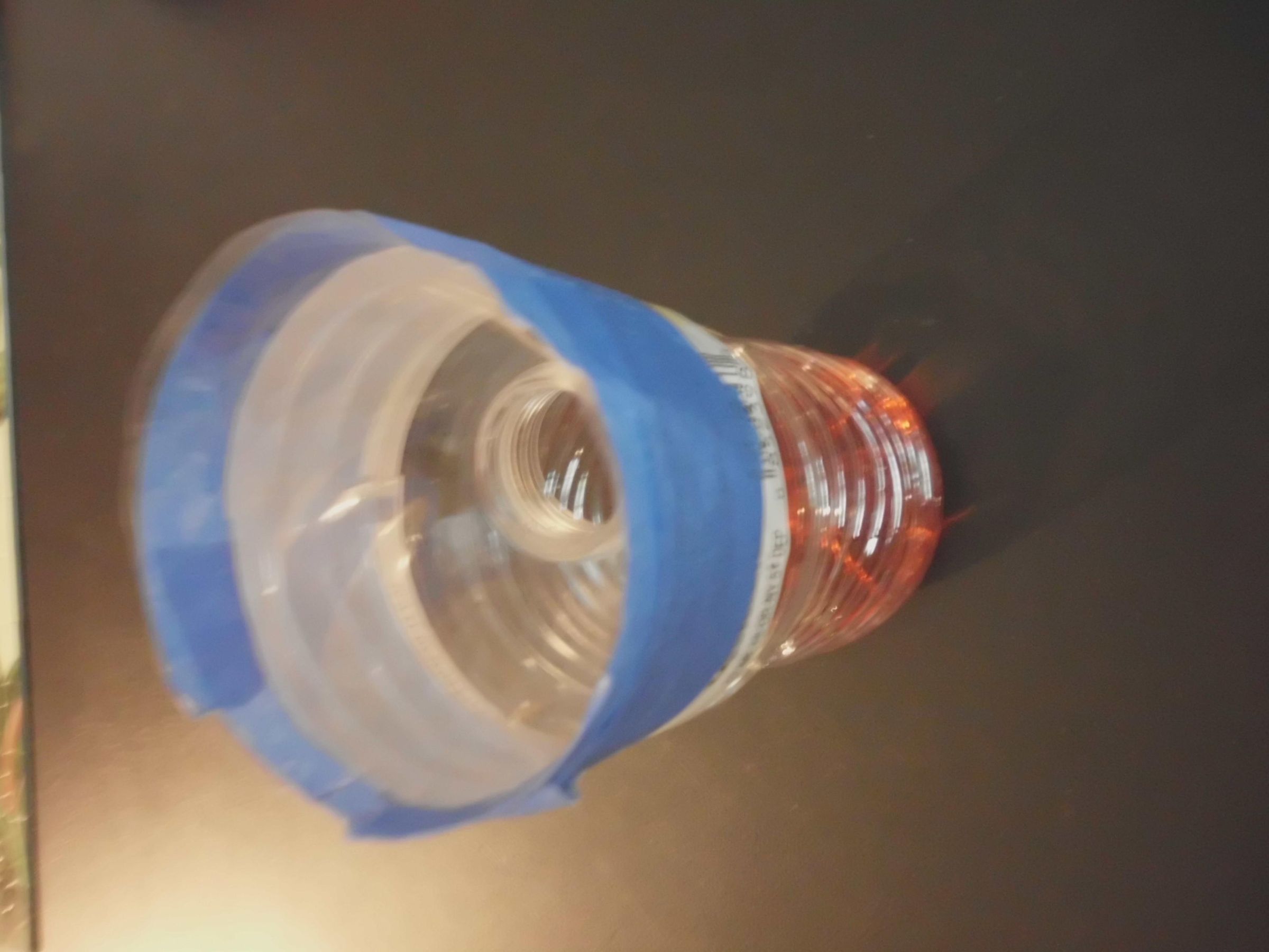 Fruit Fly Trap