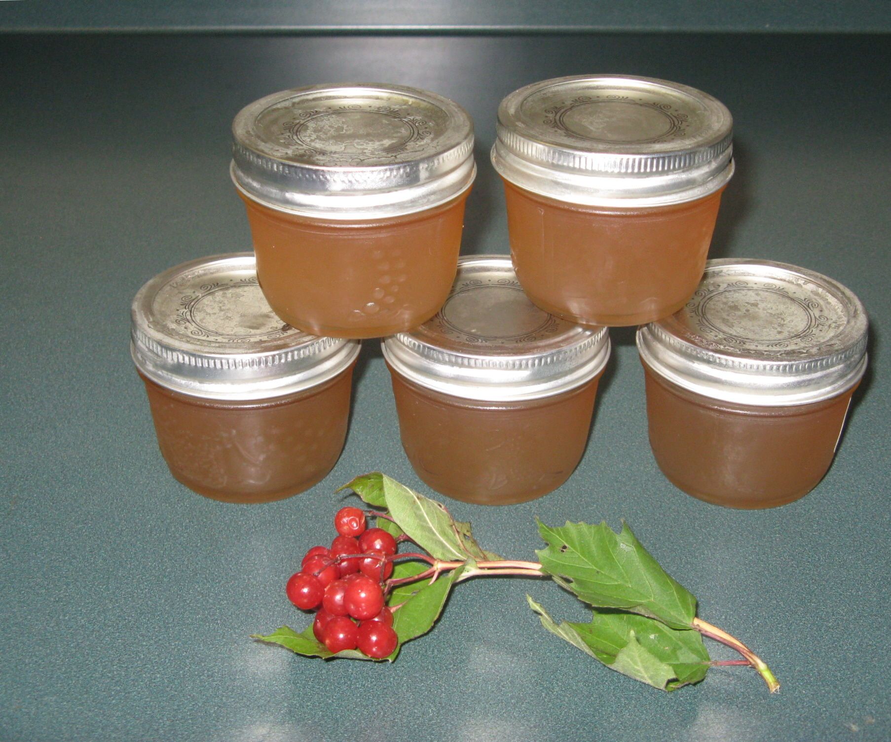 Sugar Free Highbush Cranberry Jelly