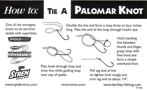 Tackle and Gear Preparation