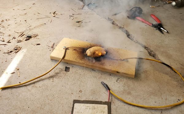2100 Volt Potato Cooker!