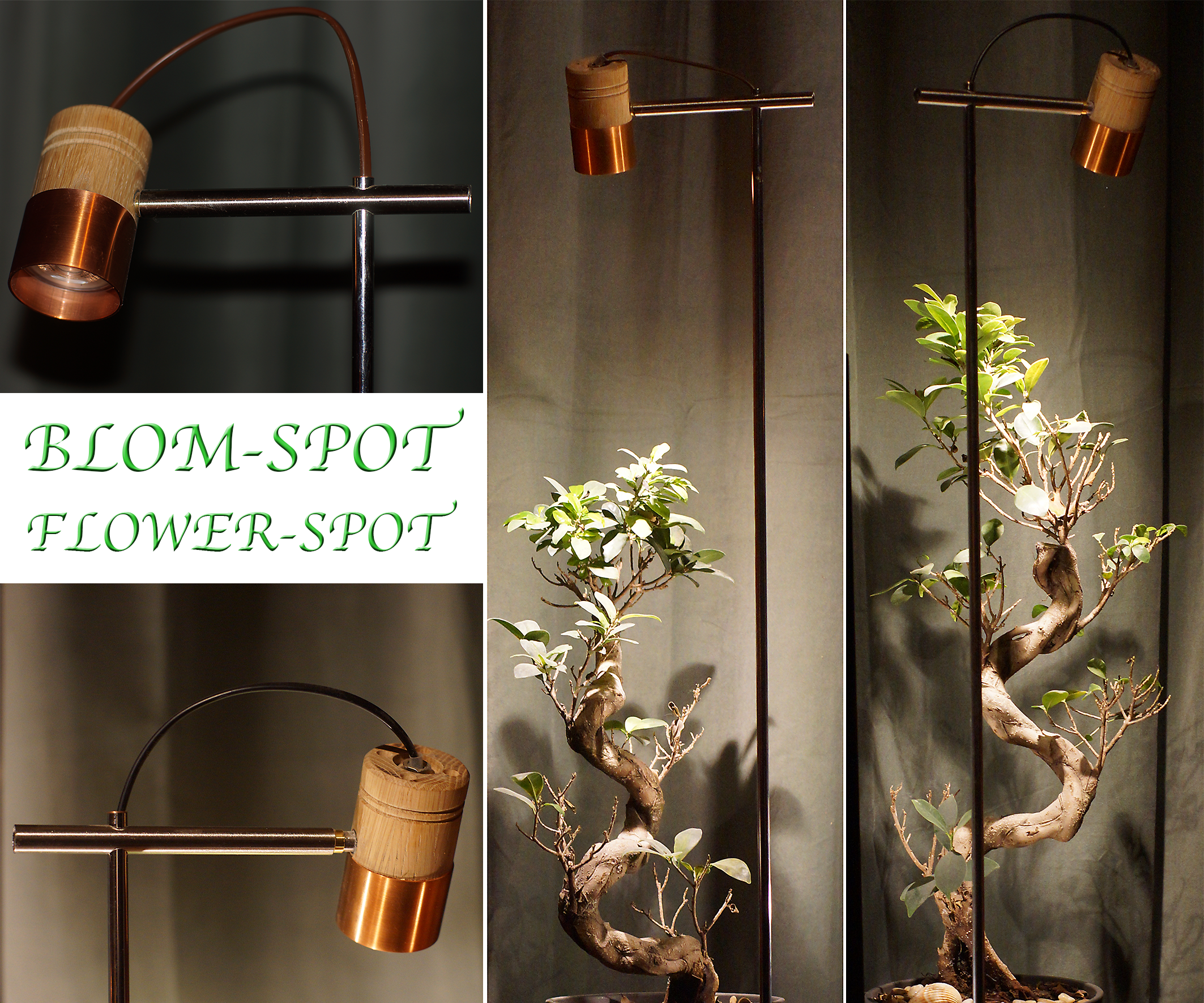 Blom-Spot Flower-Spot