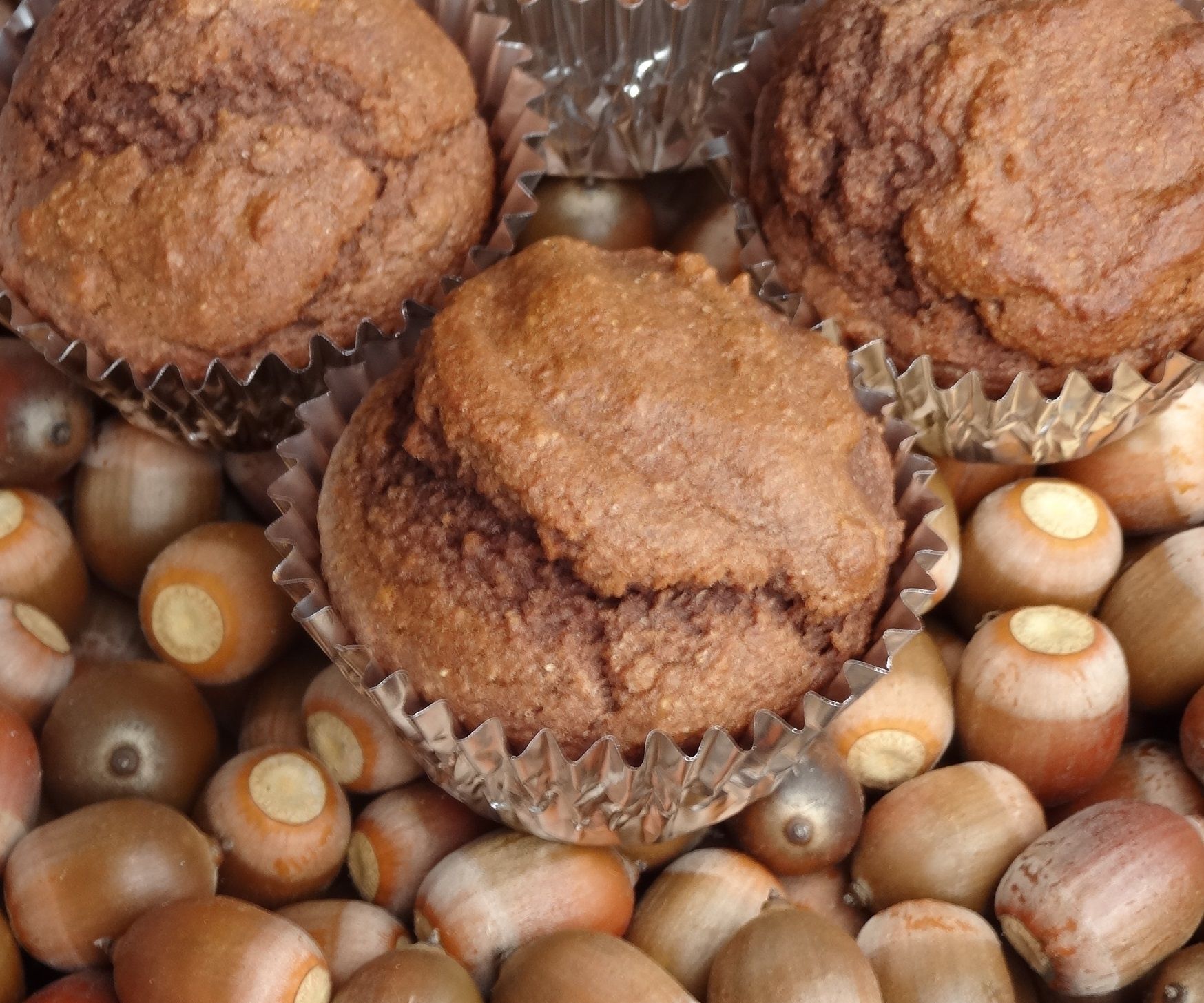 Acorns to Acorn Muffins in 1 Day!