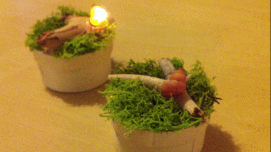 The Snailamp Box