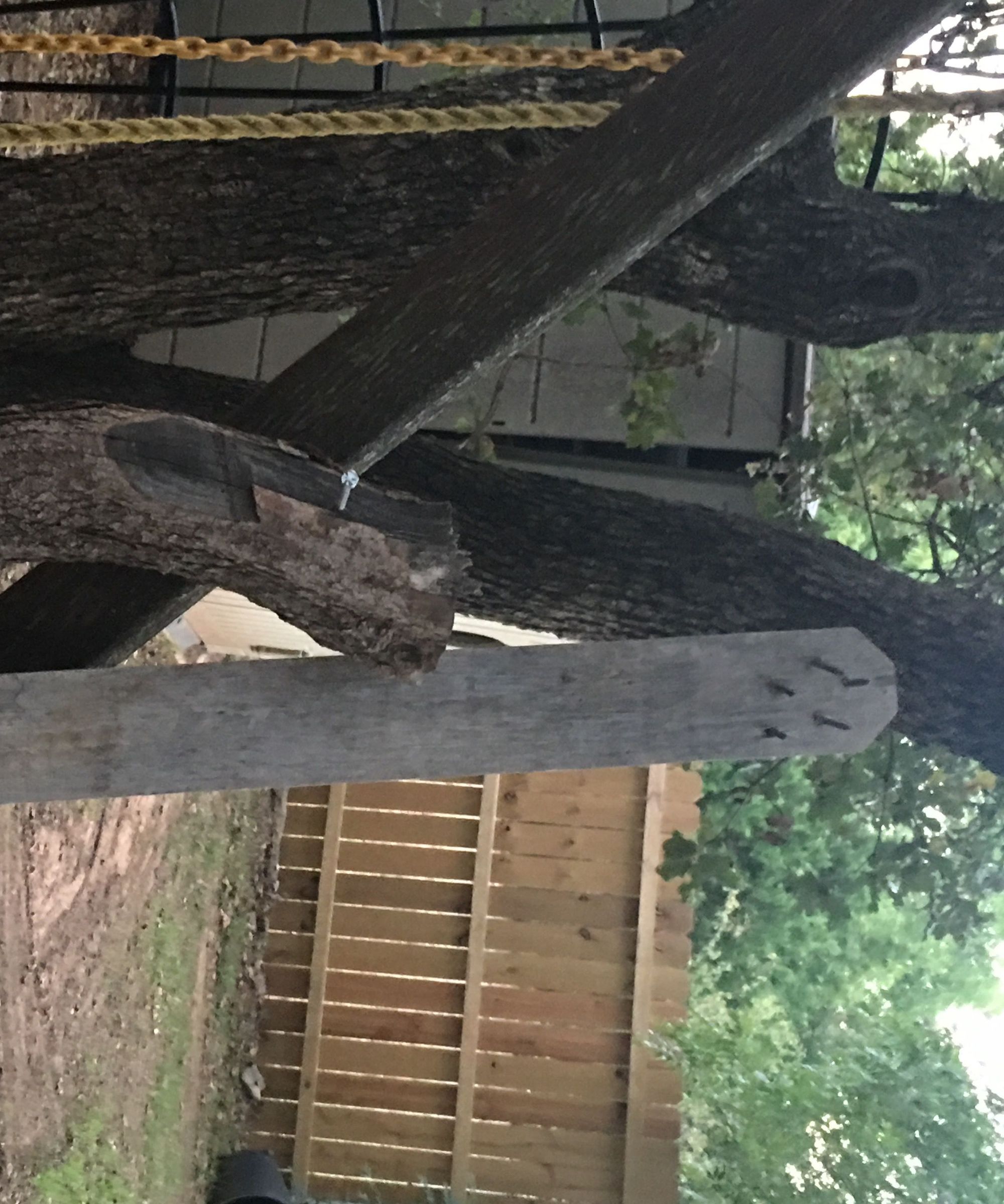 Two Zombie Survival Weapons