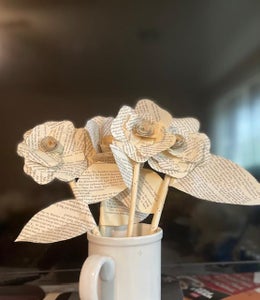 A Bunch of Bookgonias