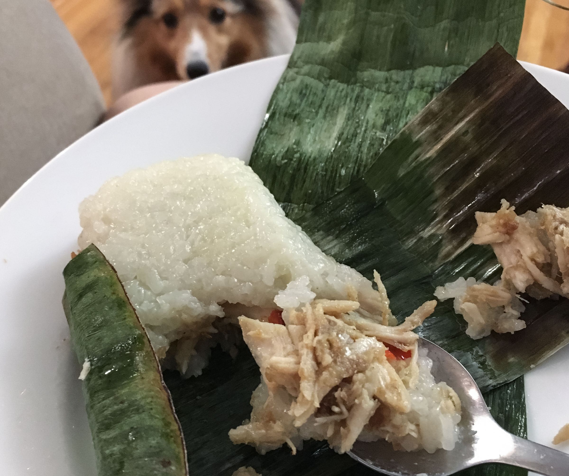 Indonesian Lemper Ayam (Sticky Rice With Coriander Chicken)