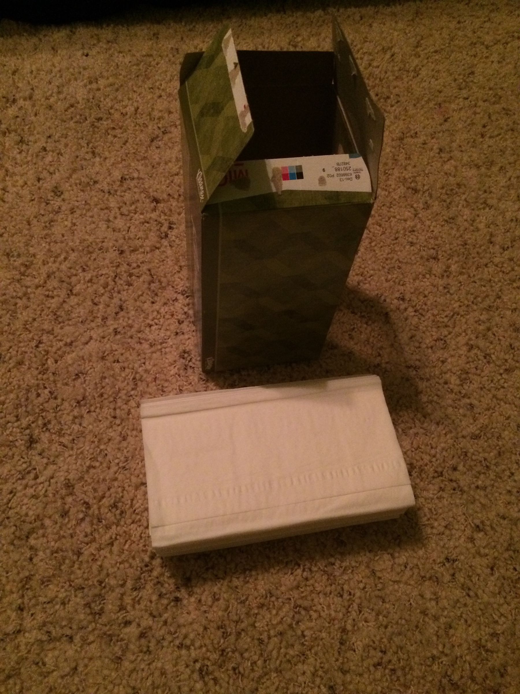 Hidden in Plain Sight- in a Tissue Box