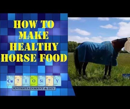 Healthy Horse Food