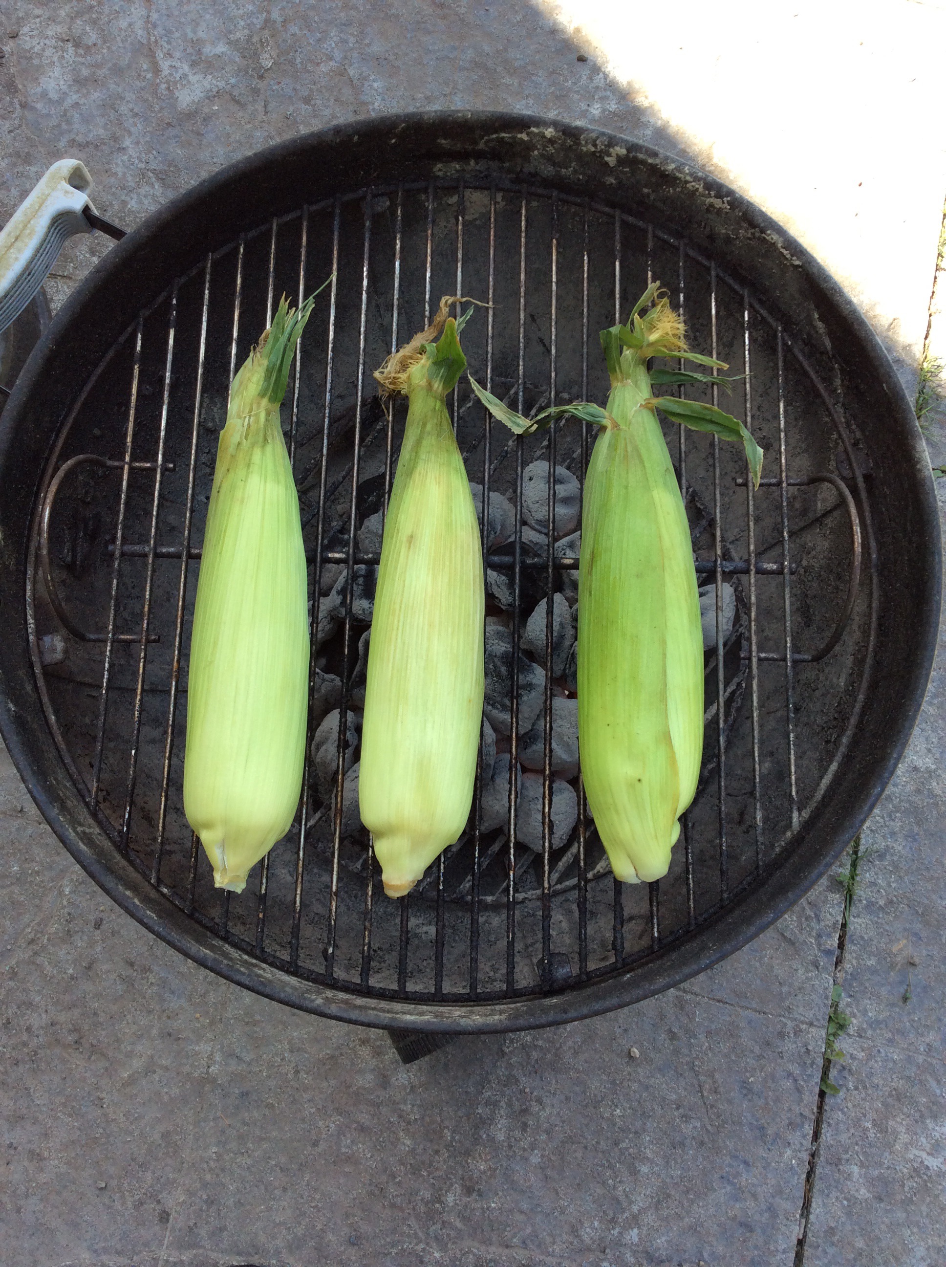 Corn on the Cob 5 Steps (with Pictures) Instructables