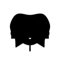 download {{ file.name }}