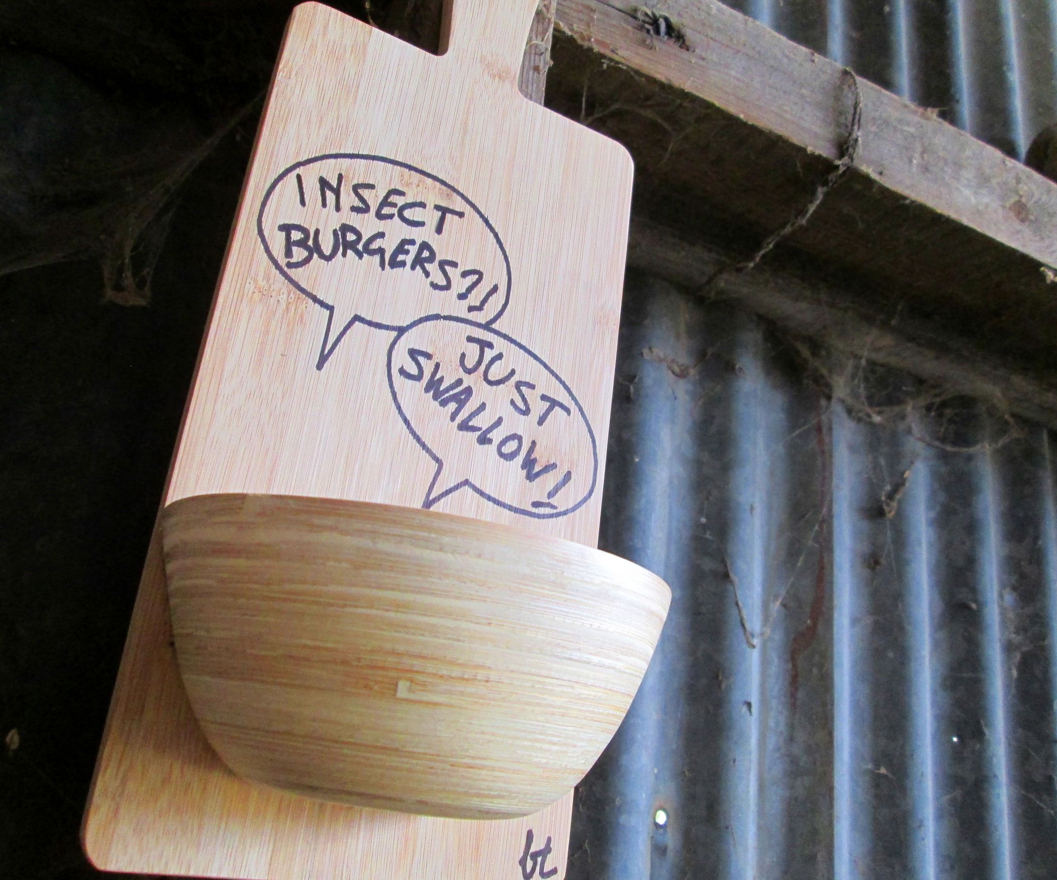 Artificial Barn Swallow Nests : 5 Steps (with Pictures) - Instructables