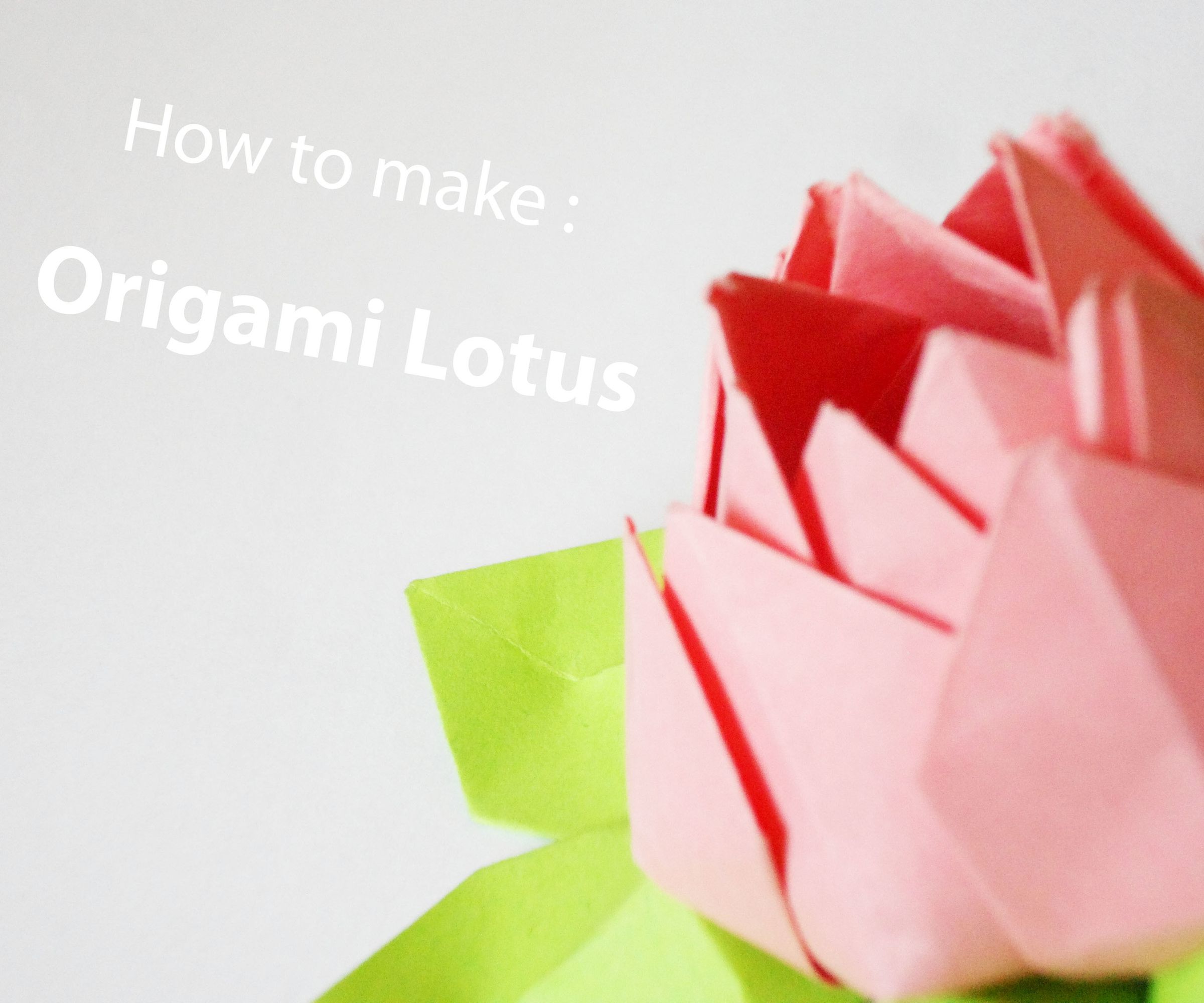 How to Make: the Origami Lotus