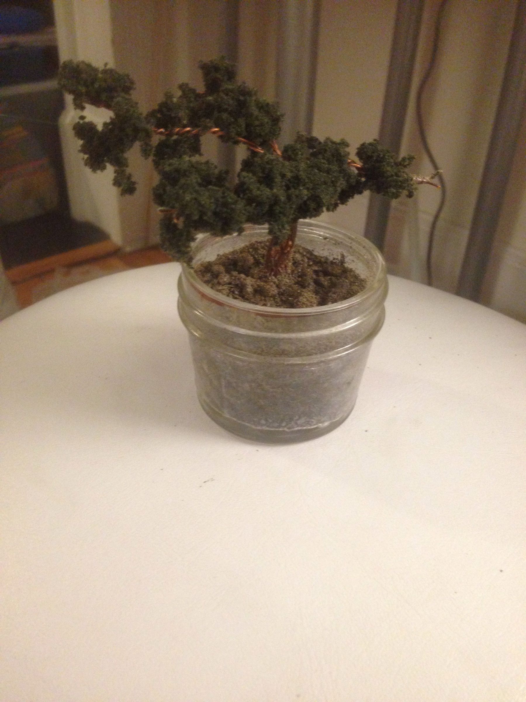 Hidden Bonsai Tree Safe