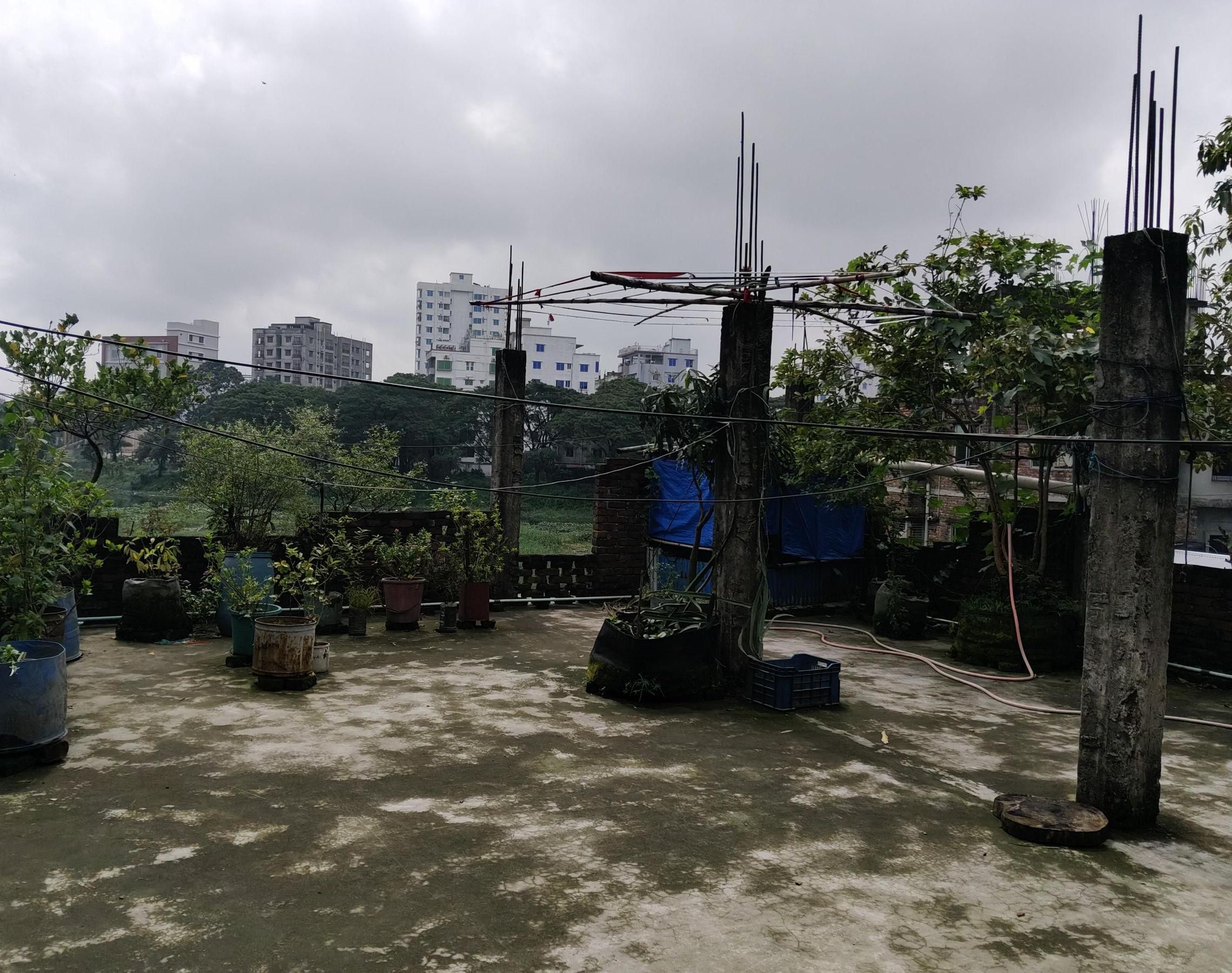 From Scrap to Self-Sustaining Rooftop Backyard: Chicken Coop, Fruit Garden & Recycled Planters