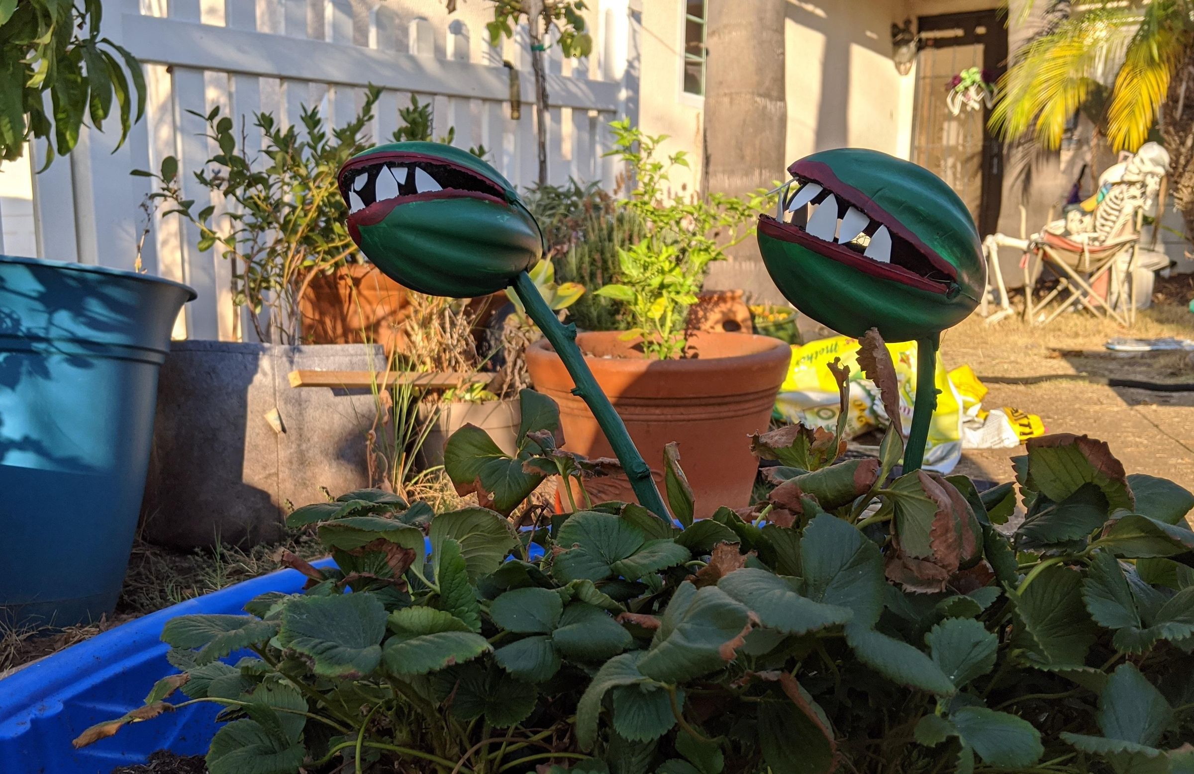Let's Make Some Killer Plants! : 10 Steps (with Pictures) - Instructables