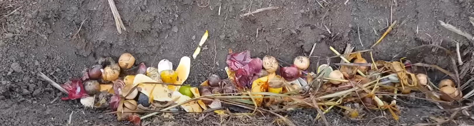 The Art of Composting: How to Turn Kitchen Scraps Into Garden Gold : 6 ...