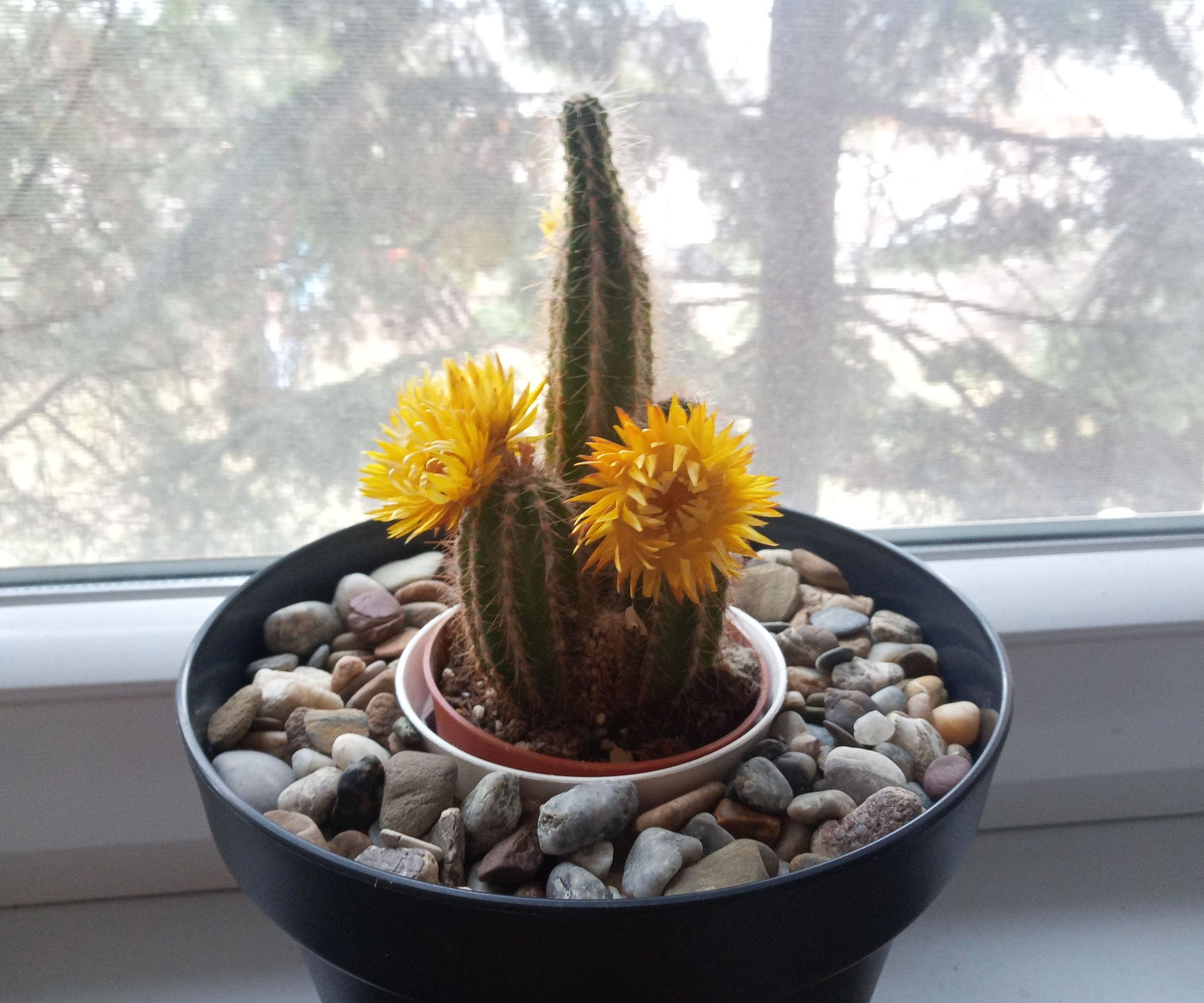 Secret Electronic Lock Without Visible Interface