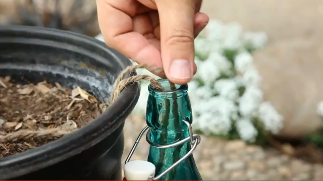 How to Make Your Own Self-Watering Pot - Build.com 30 Second Tip