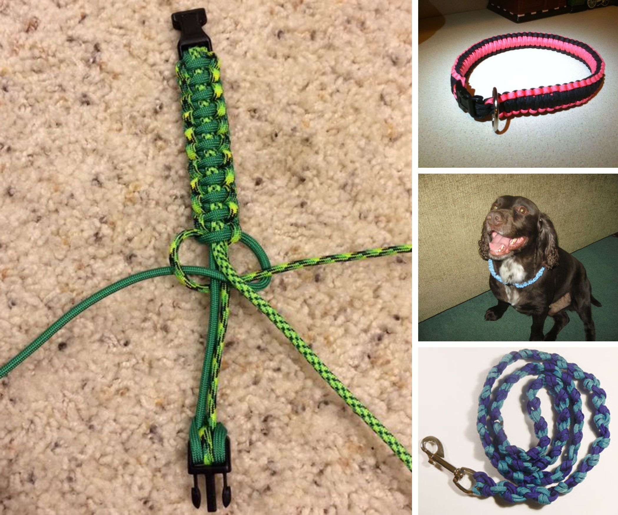 Paracord 