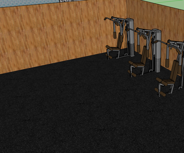 James Develin's GYM