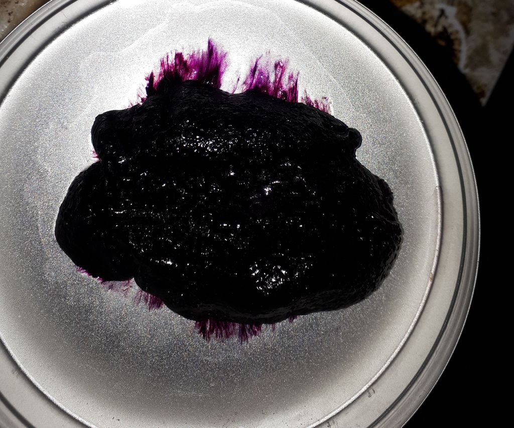 Dyed Polyvinylpyrrolidone Gel With Iodine and Rit Dyes for Art (3D