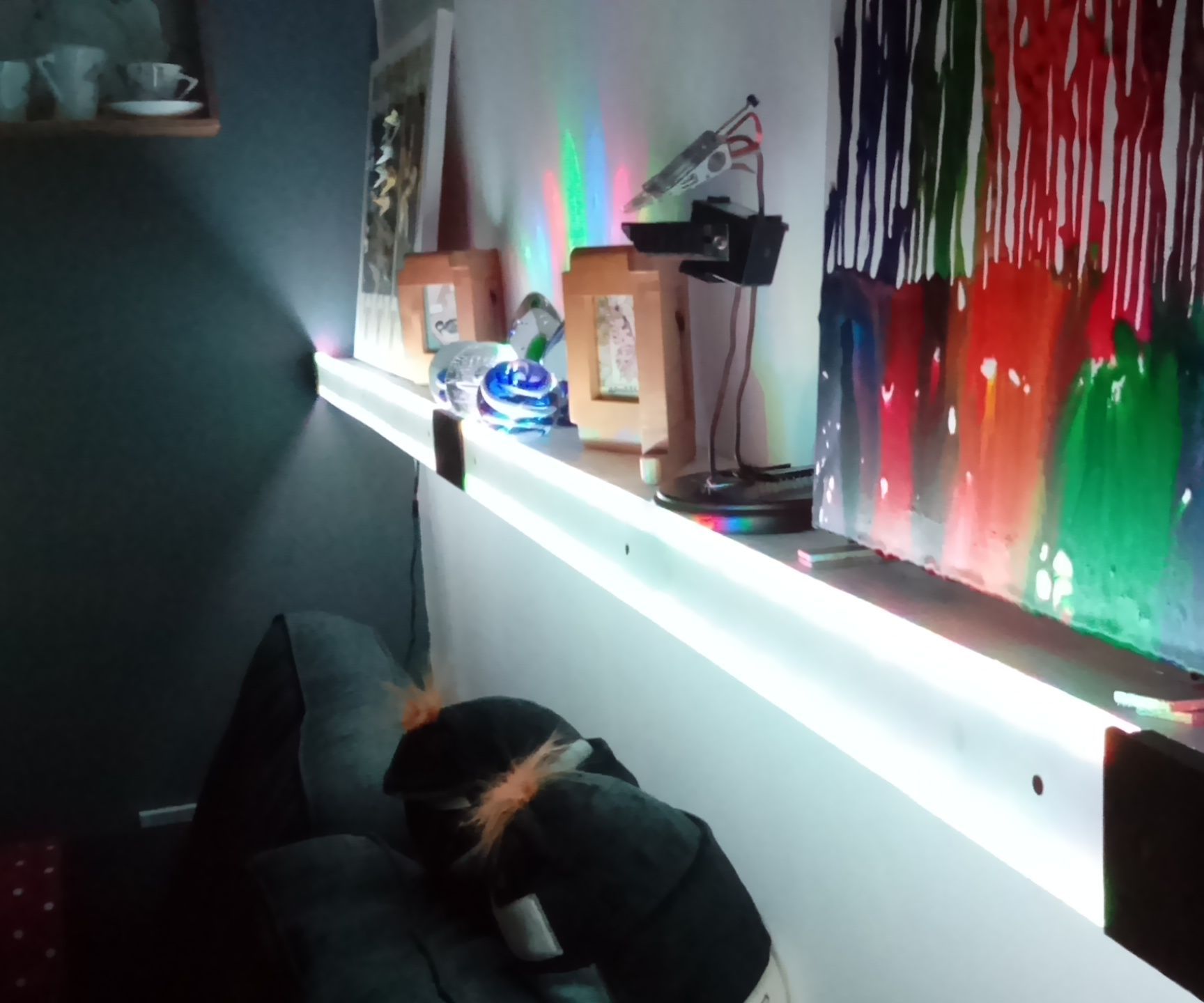 Light Up Display Shelf