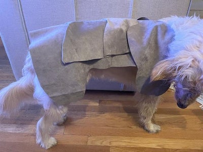 Armor: E; Cutting Next Layers