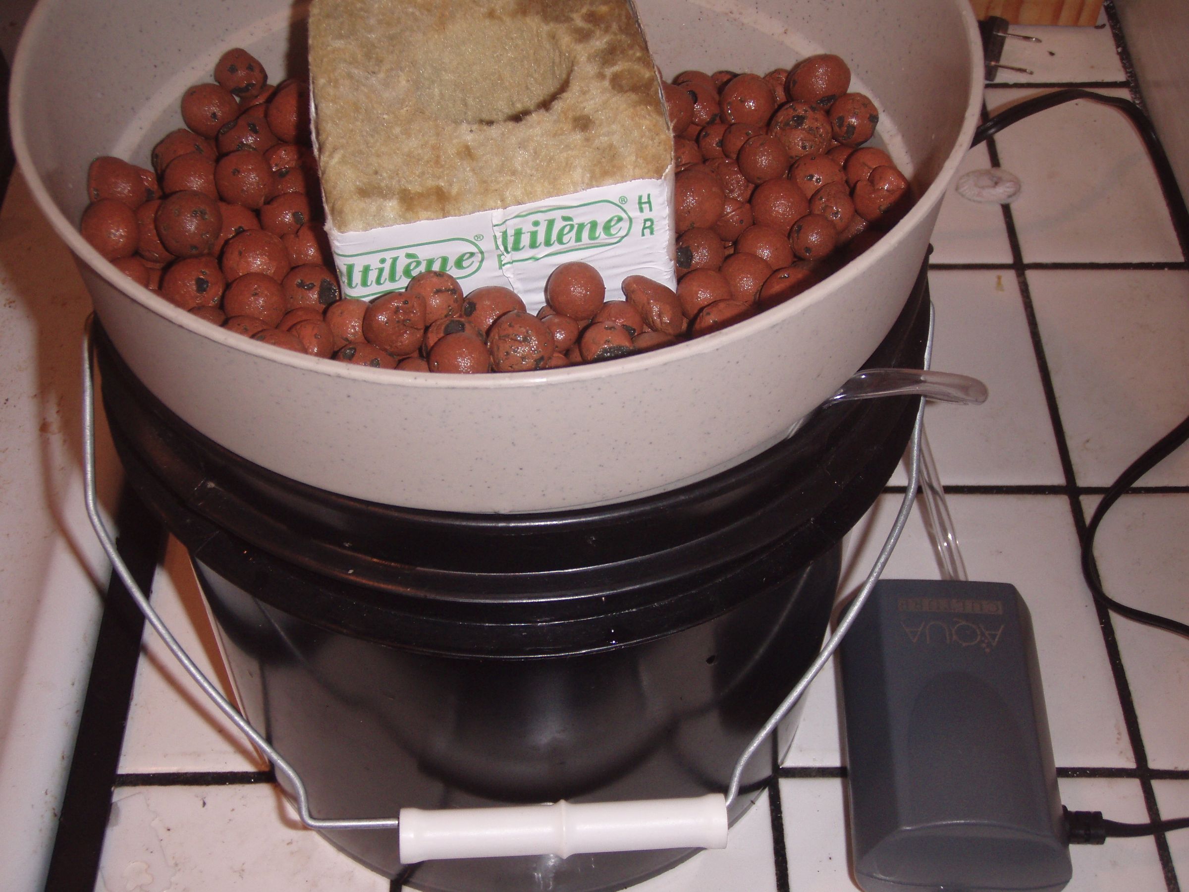 30 Second Hydroponic/Bubleponic System for Indoor Garden!!!