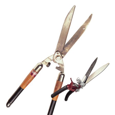 Tips for a Good Cutting Edge