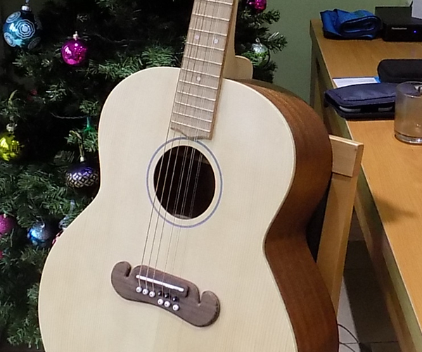 9-string Acoustic Guitar