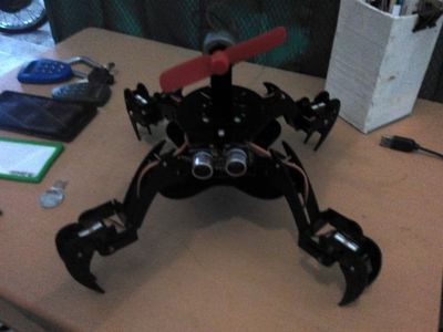 O-fat the Quadruped Robot With Acrylic Frame