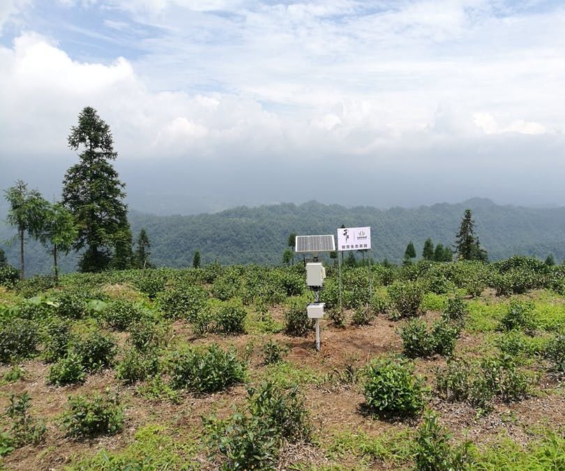 Seeed LoRa IoTea Solution