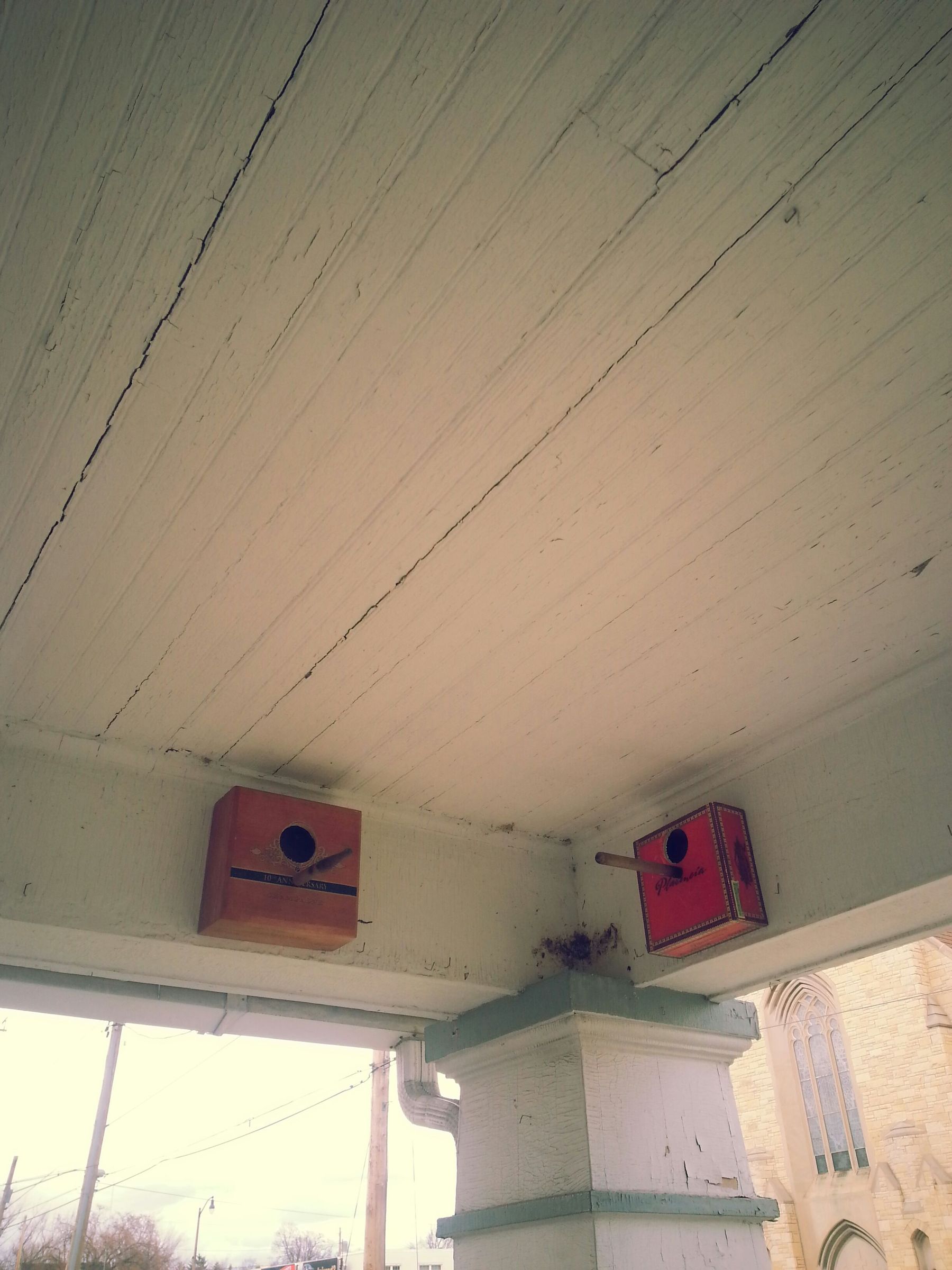 Cigar Box Bird House 