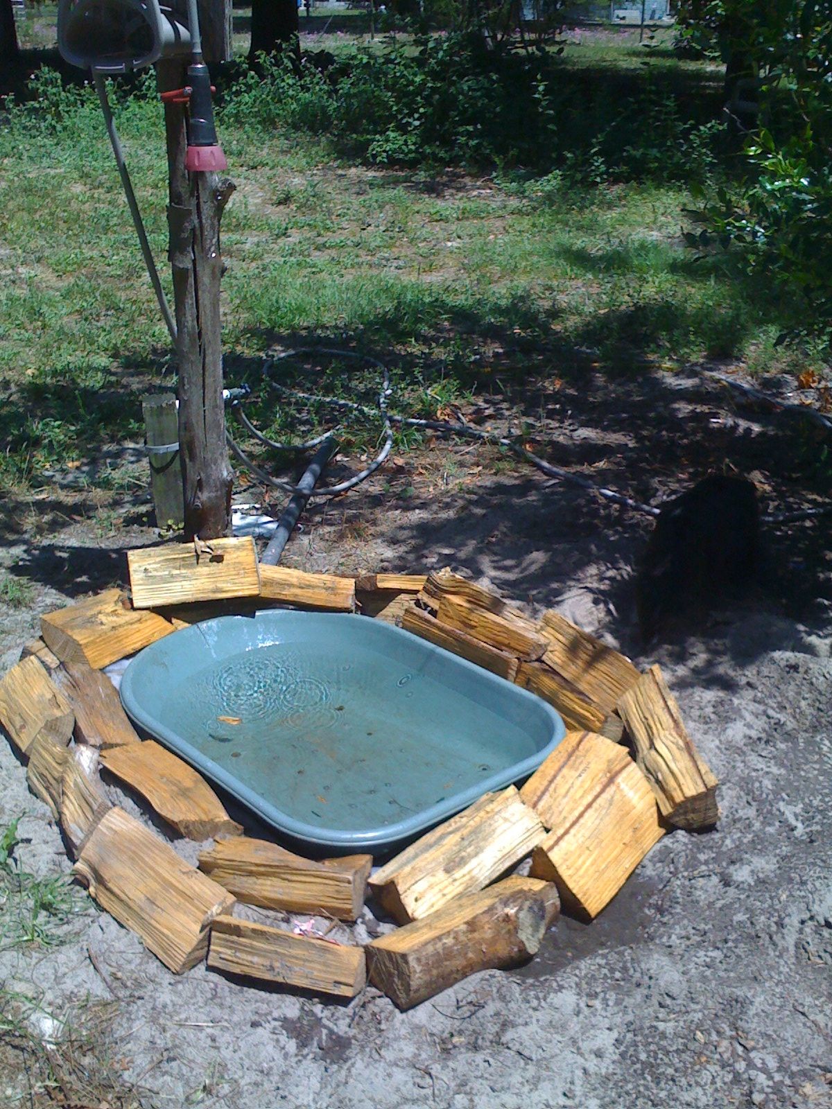 Zeevah's Elite Doggie Swimming Pool / Water Bowl / Bird Bath