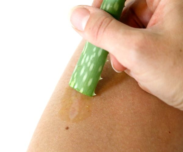 Aloe Vera Skin Benefits : 3 Steps (with Pictures) - Instructables