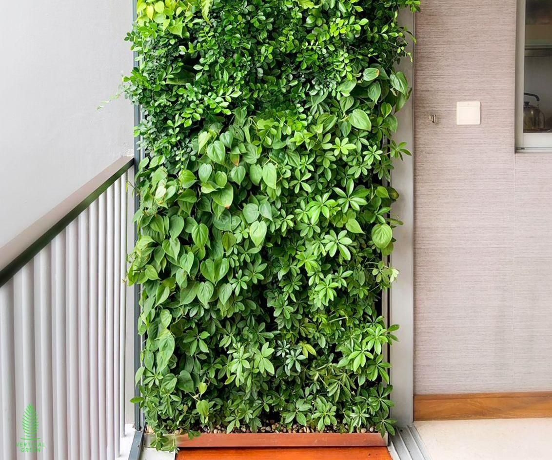 A Green Wall in Your Urban Balcony : 7 Steps - Instructables