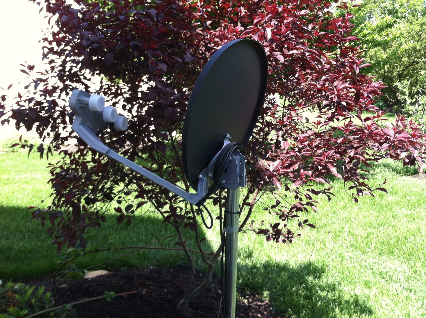 Perfect Platform Bird Feeder From Satellite Dish 6 Steps (with