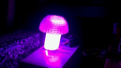 Play Time!  I Turned on the Lights...