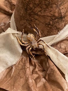 Decorate Your Witch Hat